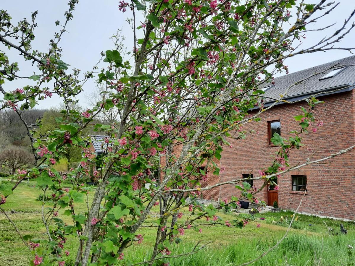 Bed and Breakfast Aux Saveurs D'Enneille Durbuy Exterior foto